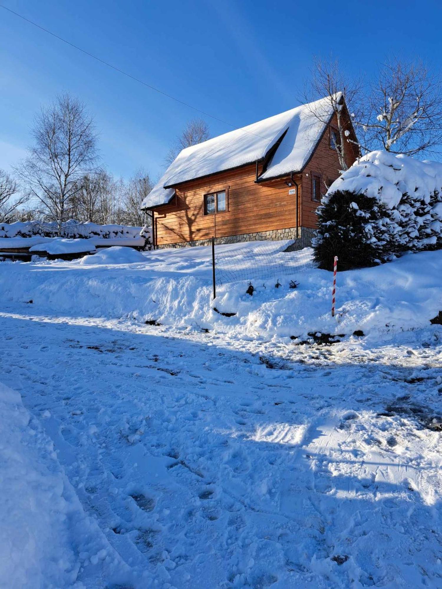 Wrzos W Beskidach Kamesznica